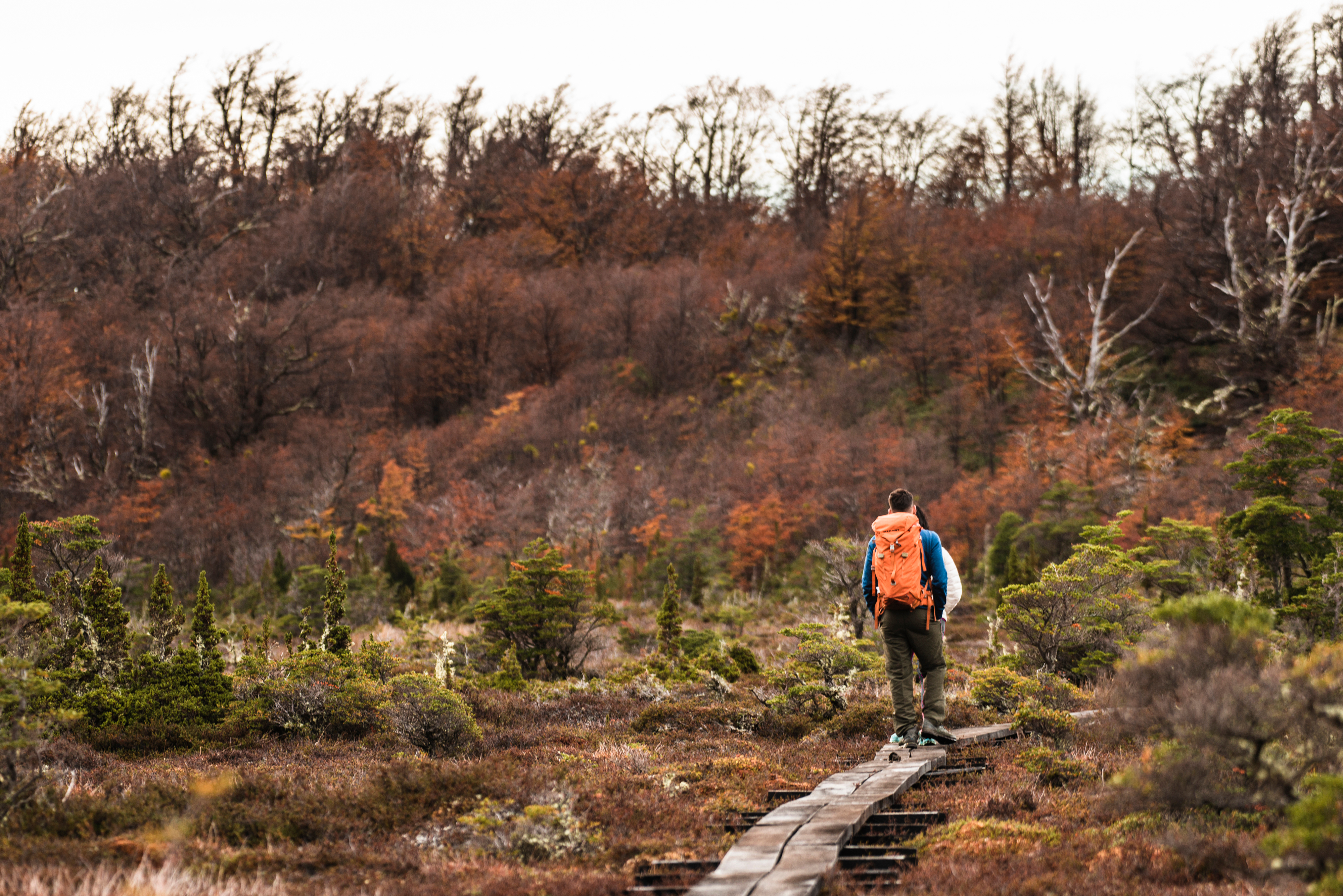 Trekking en parque Bahía Esperanza